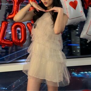 The Bar Lou Dress Size 0 Sparkle Nude Tulle Dress